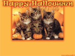 Cartolina Halloween